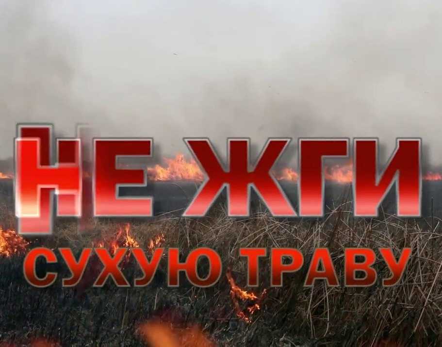 10.03.2025 2
