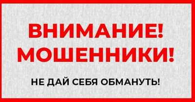 26.02.2025